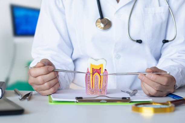 Best Pediatric Emergency Dentist in Huron, SD